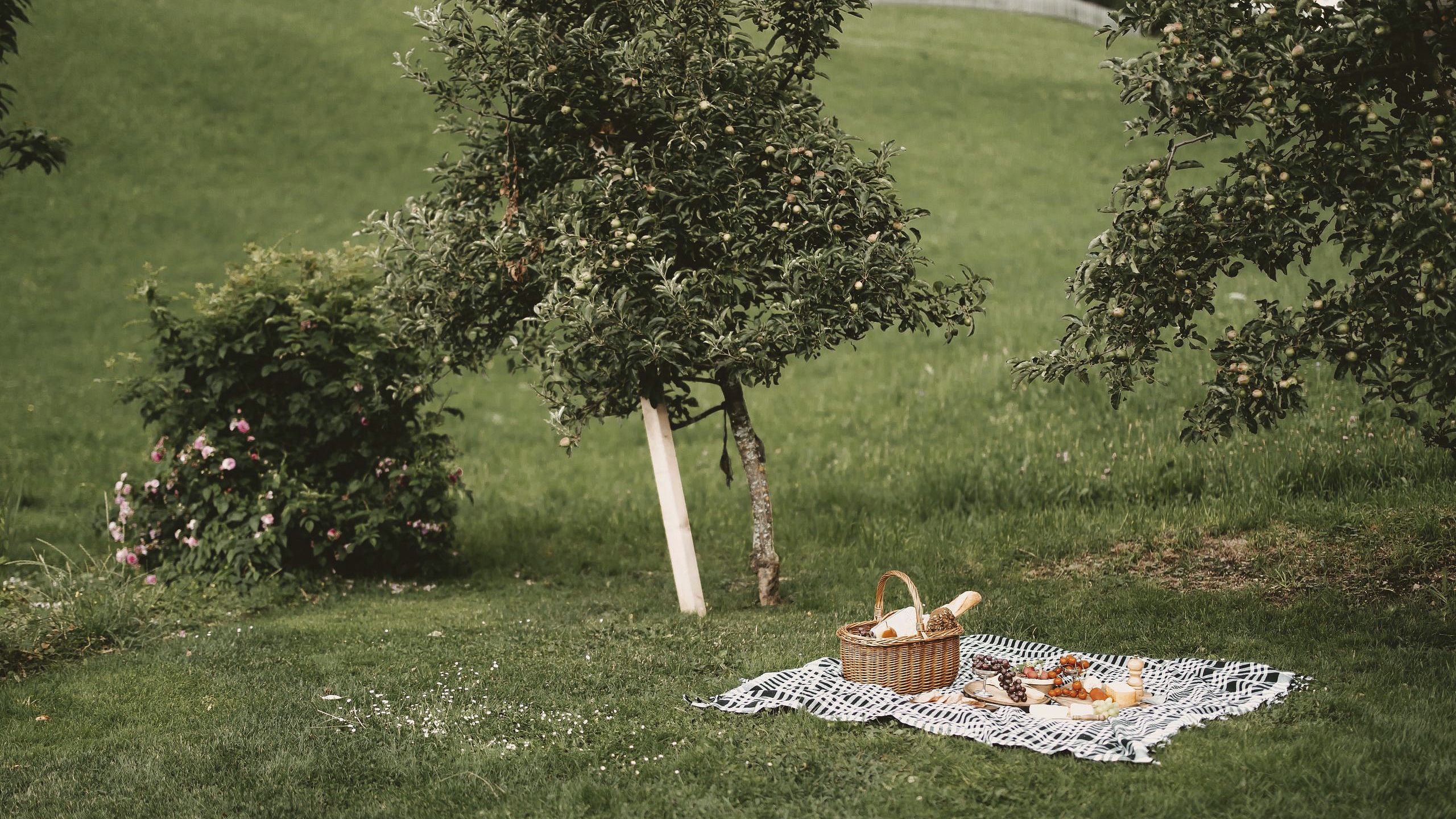 Rosenhof-FoodandDrinks©DanielaGruber-16